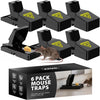 Zeno 6 Pack Reusable Mouse Trap