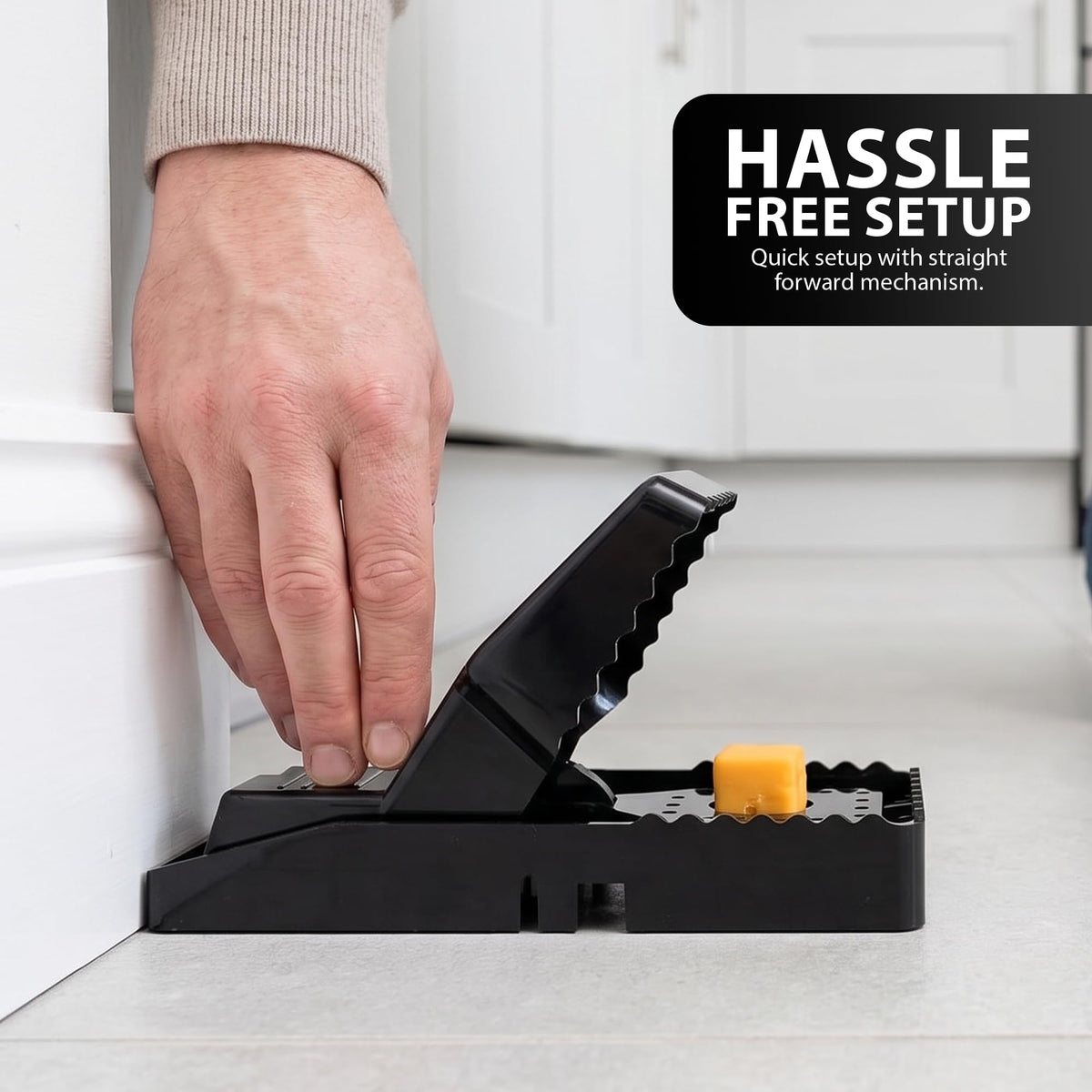 Zeno 6 Pack Reusable Mouse Trap