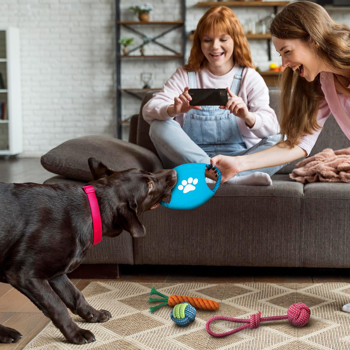 Rex & Roxy 10 Pack Dog Toys
