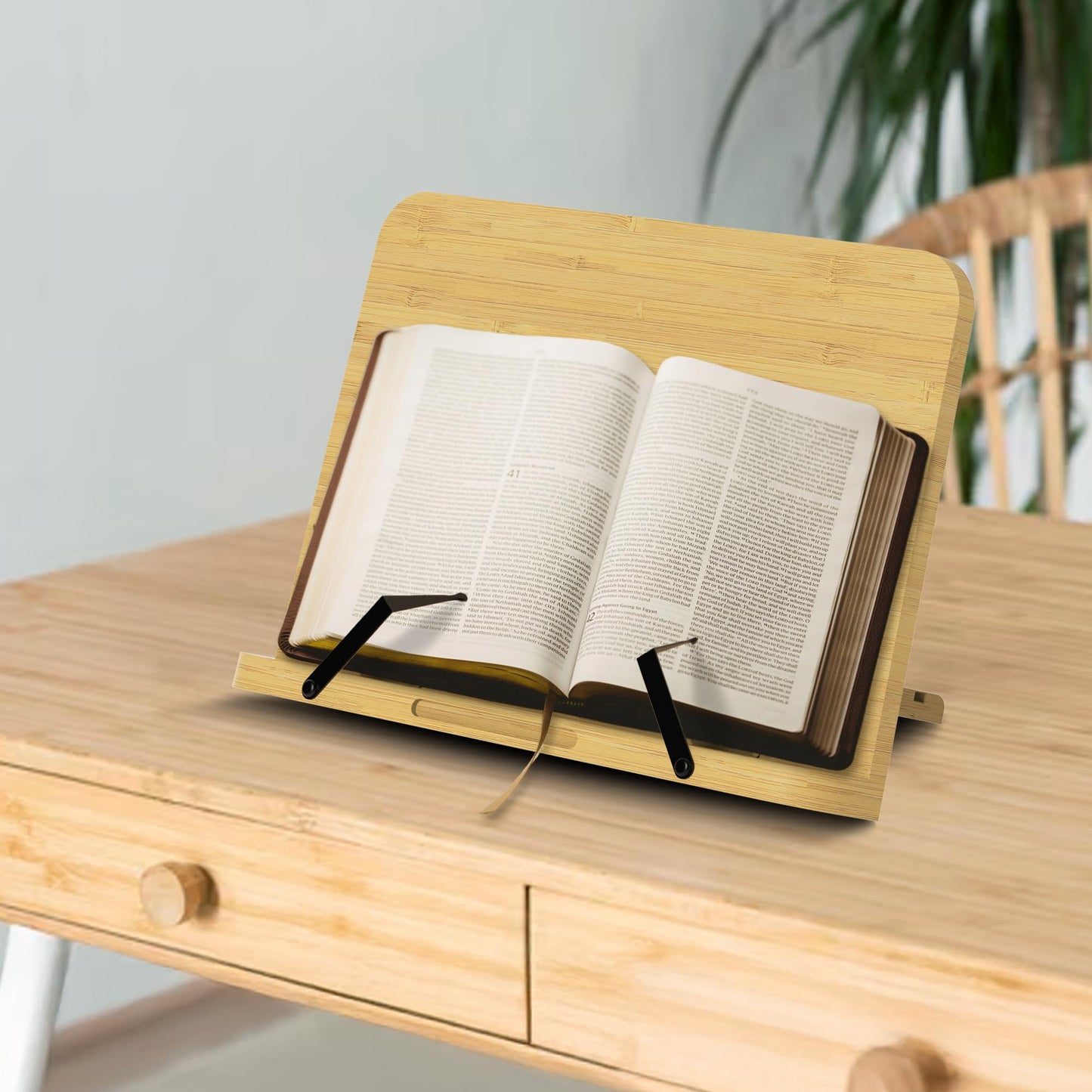 Zeno Recipe Book Stand