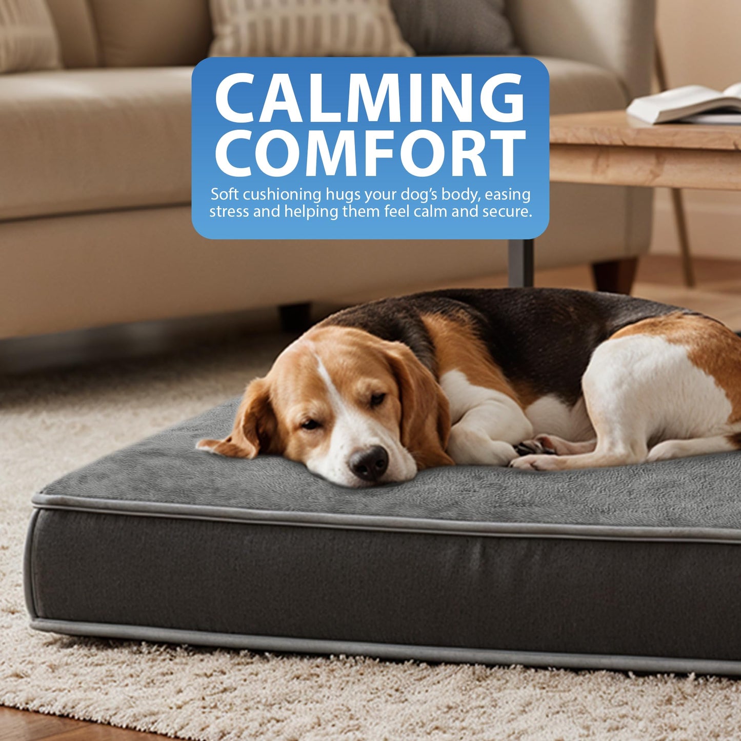Rex & Roxy 70 x 50cm Dog Bed