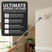 Zeno Grey Spider Catcher