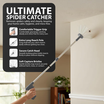 Zeno Grey Spider Catcher