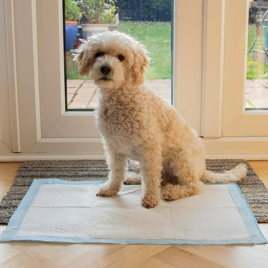 Rex & Roxy 60 x 60cm 50 Pack Puppy Pads