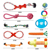 Rex & Roxy 10 Pack Dog Toys