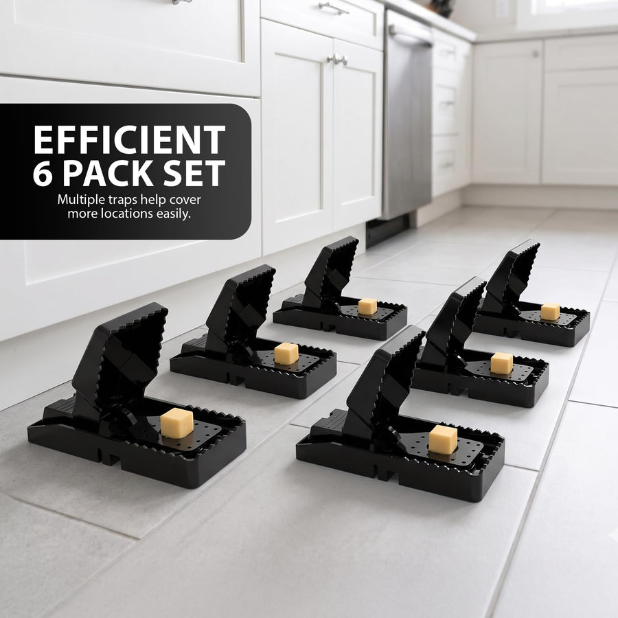 Zeno 6 Pack Reusable Mouse Trap