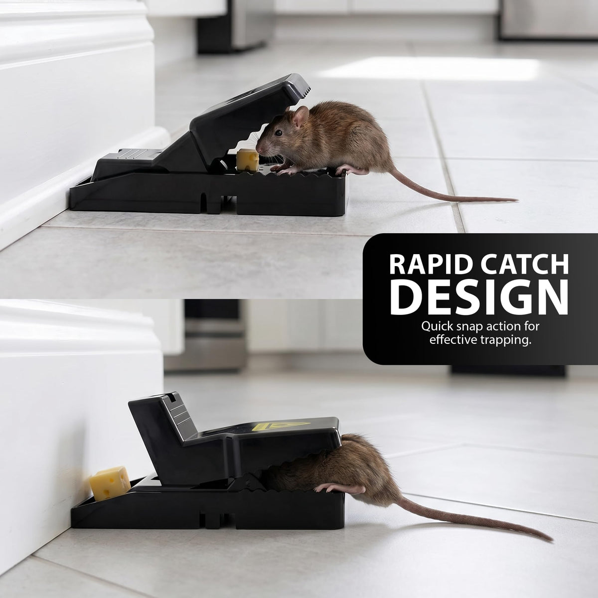 Zeno 6 Pack Reusable Mouse Trap