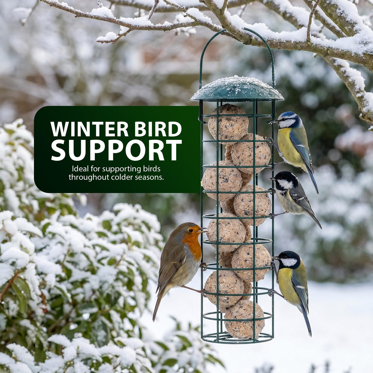 Zeno 3 Pack Bird Feeders
