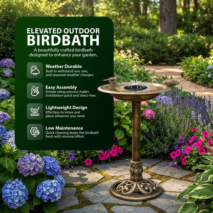 Zeno Bird Bath