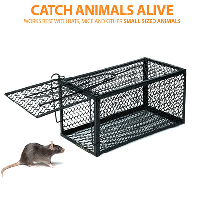 Zeno Rat Cage Traps