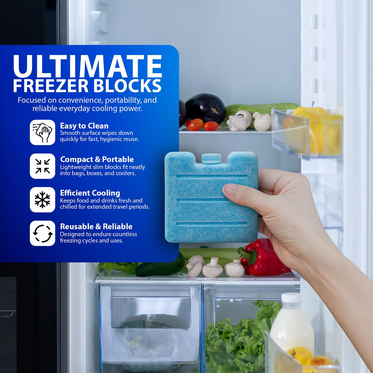 Zeno 6 Pack Mini Freezer Blocks
