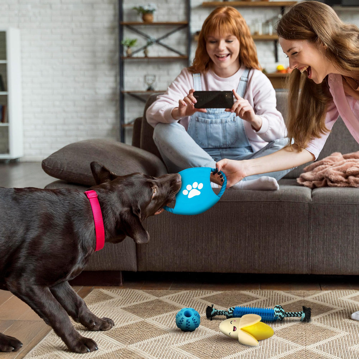 Rex & Roxy 18 Pack Dog Toys