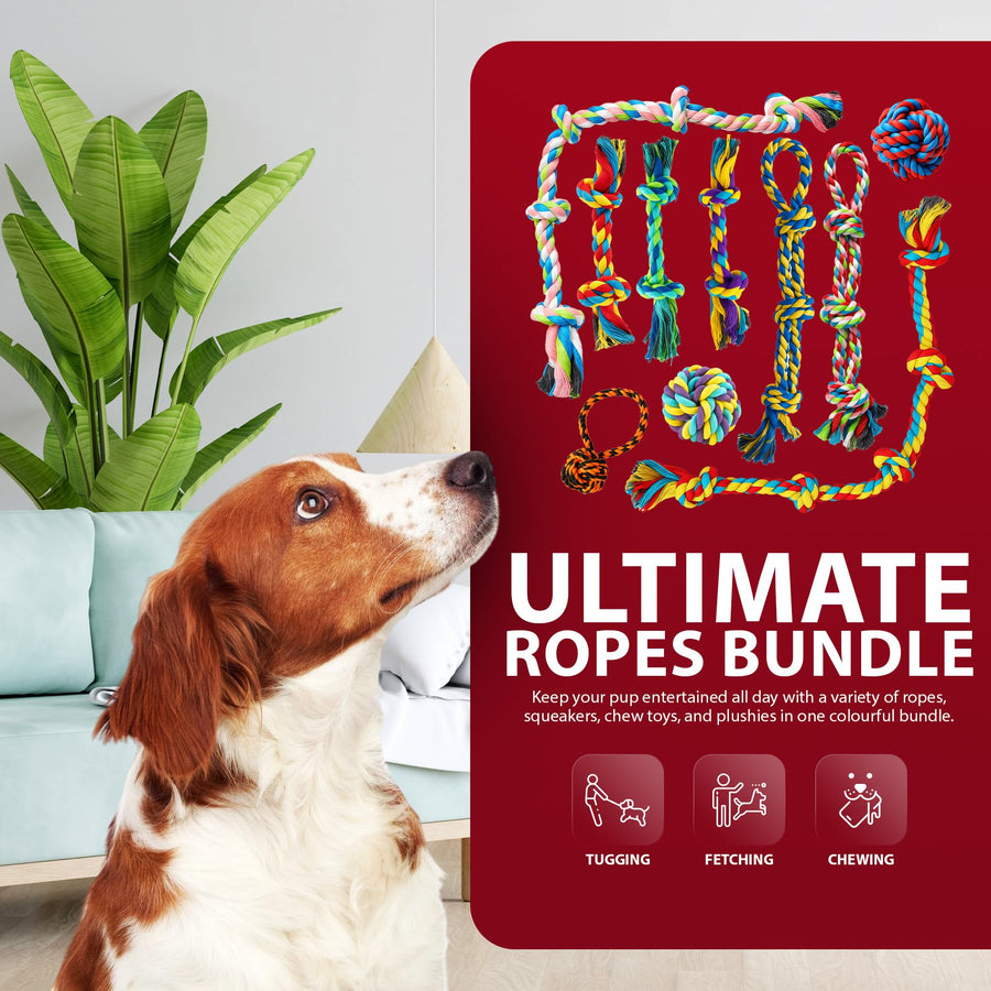 Rex & Roxy 10 Pack Dog Rope Toys