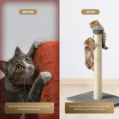 Rex & Roxy 63cm Cat Scratching Post