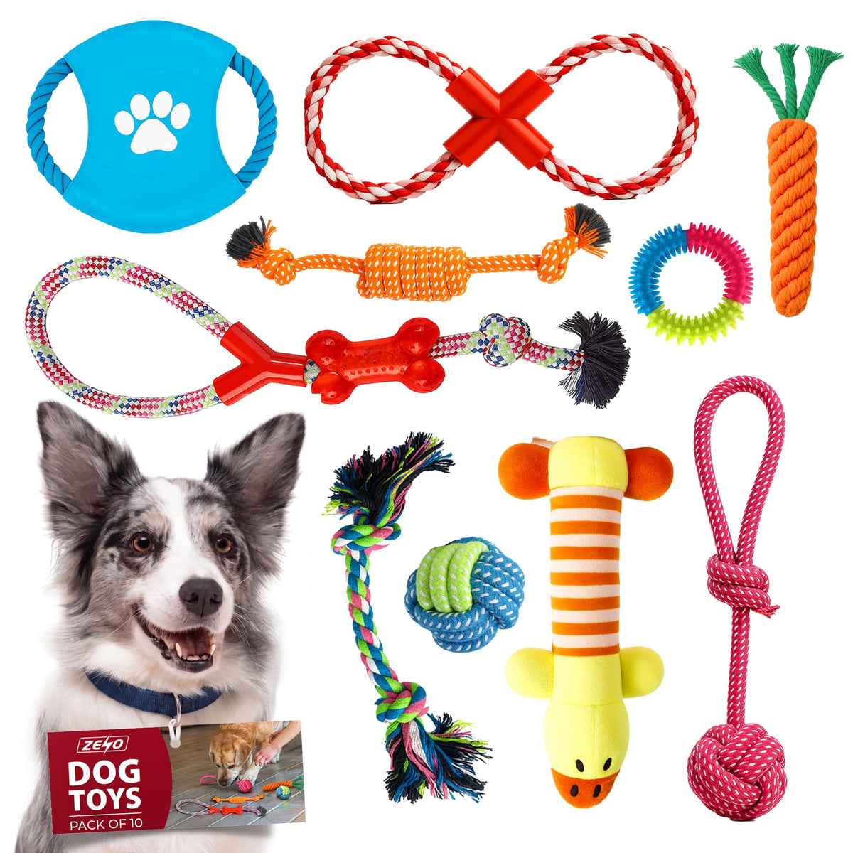 Rex & Roxy 10 Pack Dog Toys