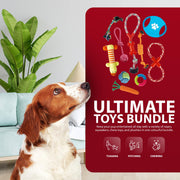Rex & Roxy 10 Pack Dog Toys
