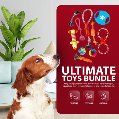 Rex & Roxy 10 Pack Dog Toys