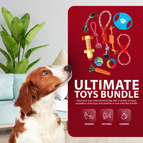 Rex & Roxy 10 Pack Dog Toys