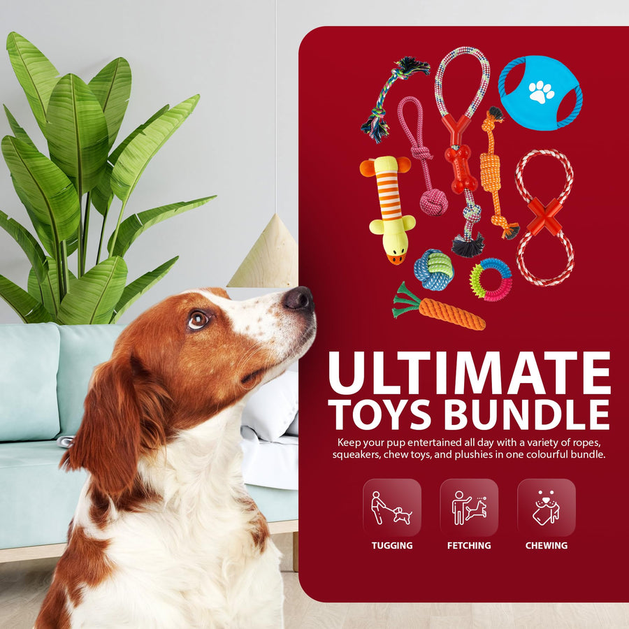 Rex & Roxy 10 Pack Dog Toys