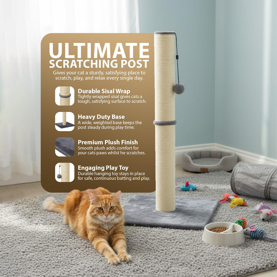 Rex & Roxy 80cm Cat Scratching Post