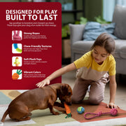 Rex & Roxy 10 Pack Dog Toys