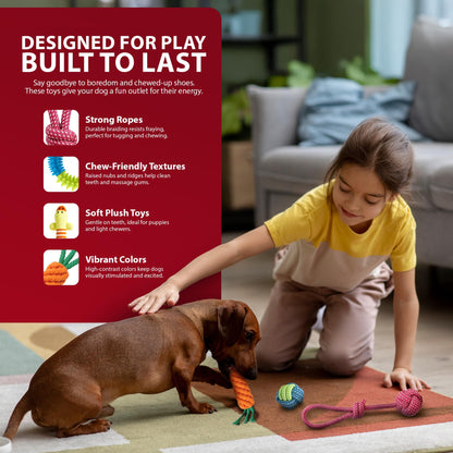 Rex & Roxy 10 Pack Dog Toys