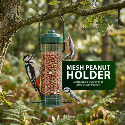 Zeno 3 Pack Bird Feeders