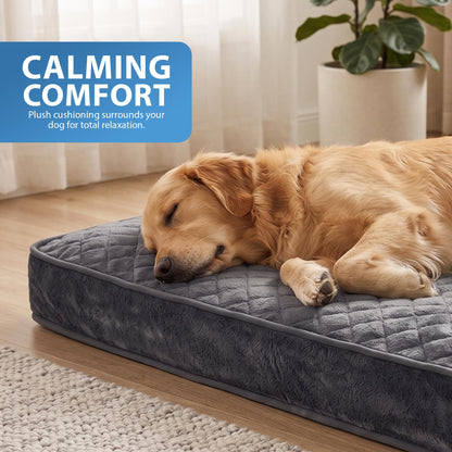 Rex & Roxy 90 x 60cm Dog Bed