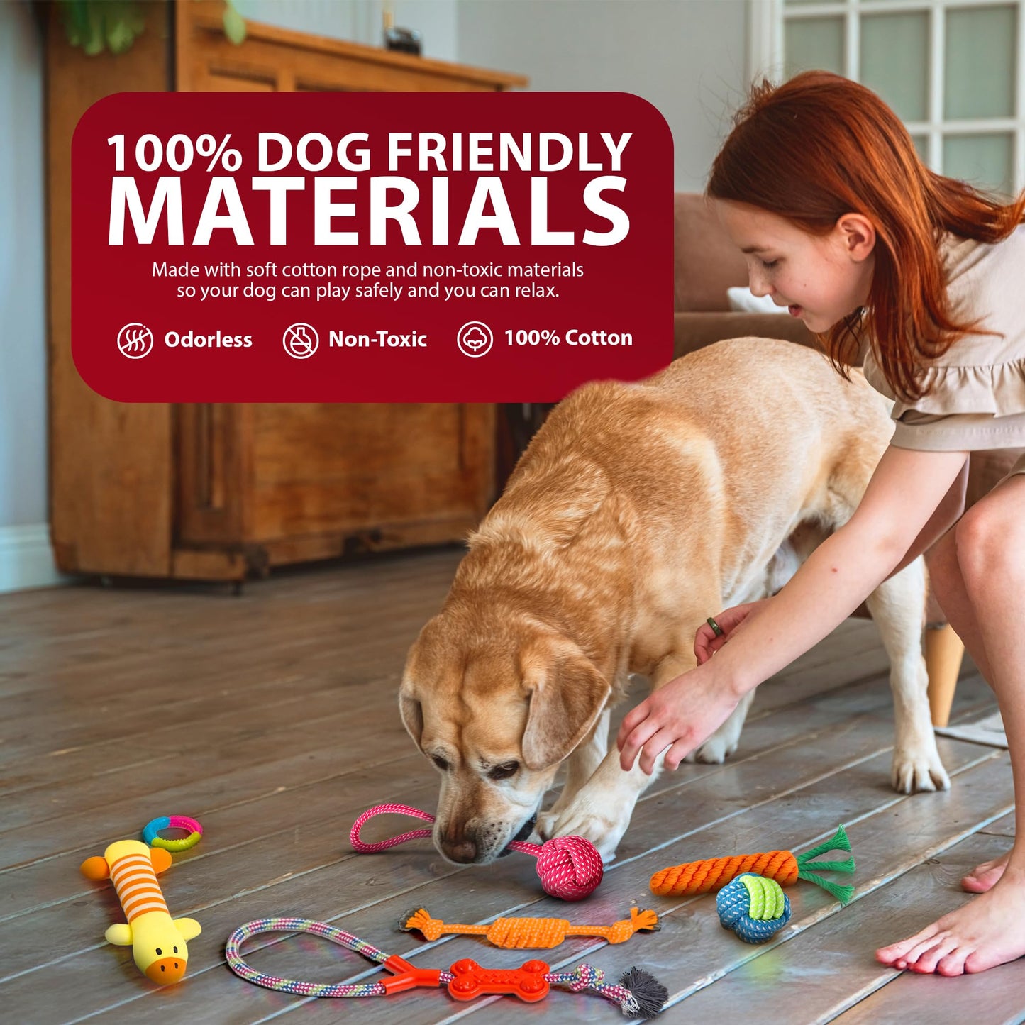 Rex & Roxy 10 Pack Dog Toys