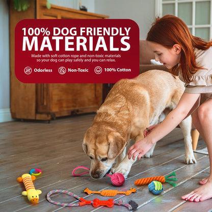 Rex & Roxy 10 Pack Dog Toys