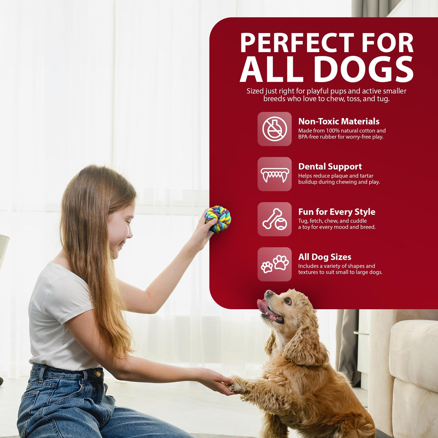 Rex & Roxy 10 Pack Dog Rope Toys