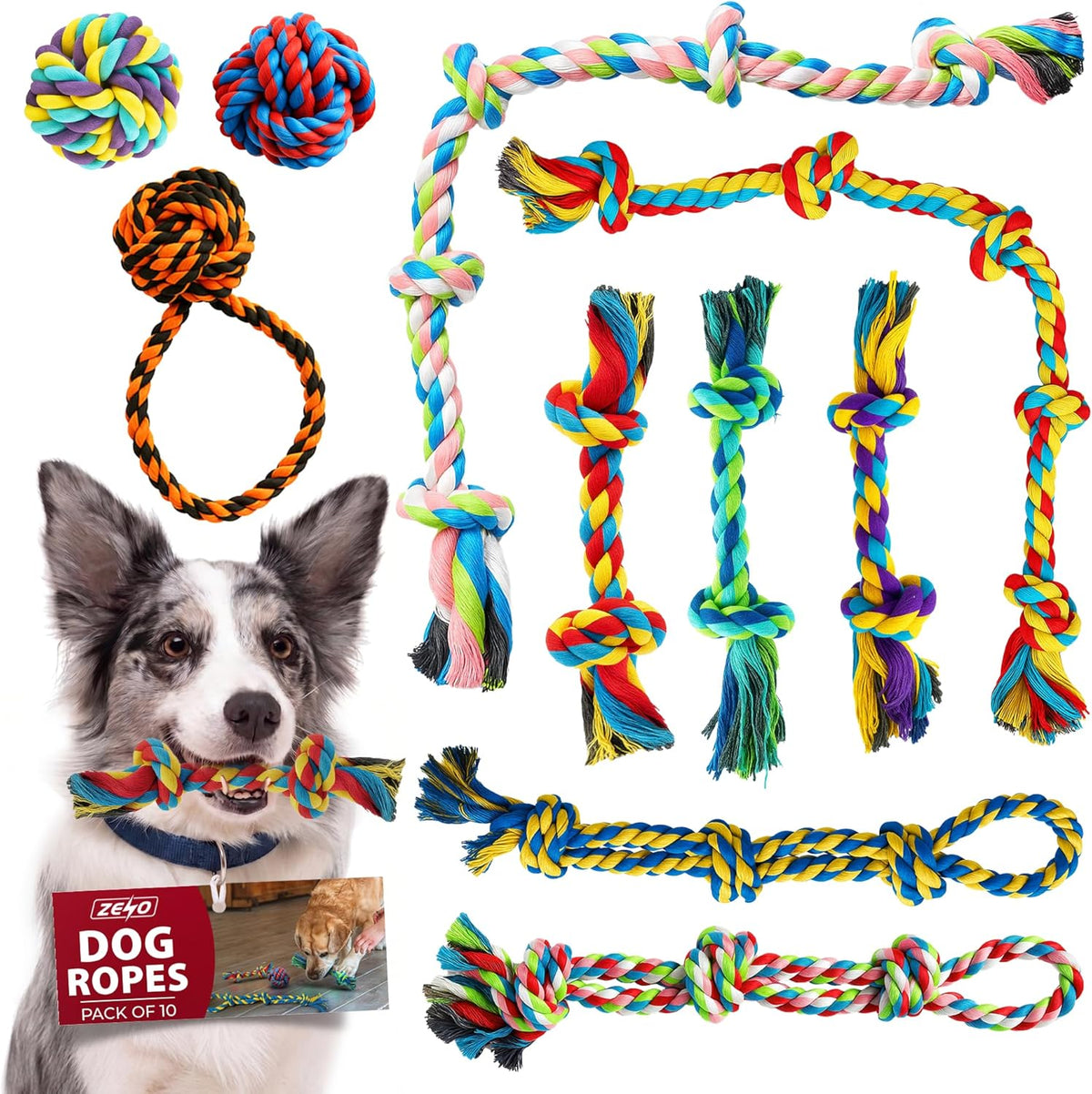 Rex & Roxy 10 Pack Dog Rope Toys