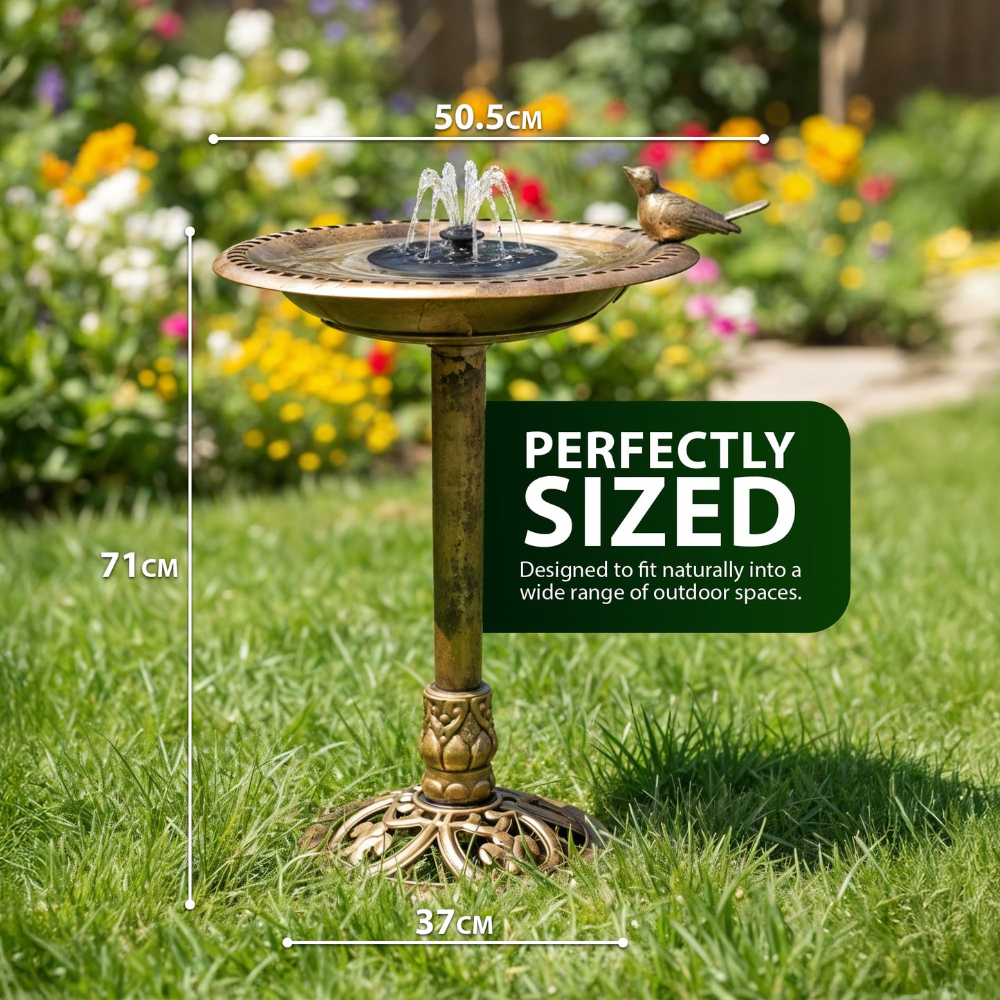 Zeno Bird Bath