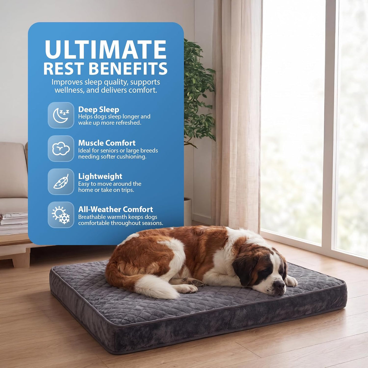 Rex & Roxy 105 x 65cm Dog Bed