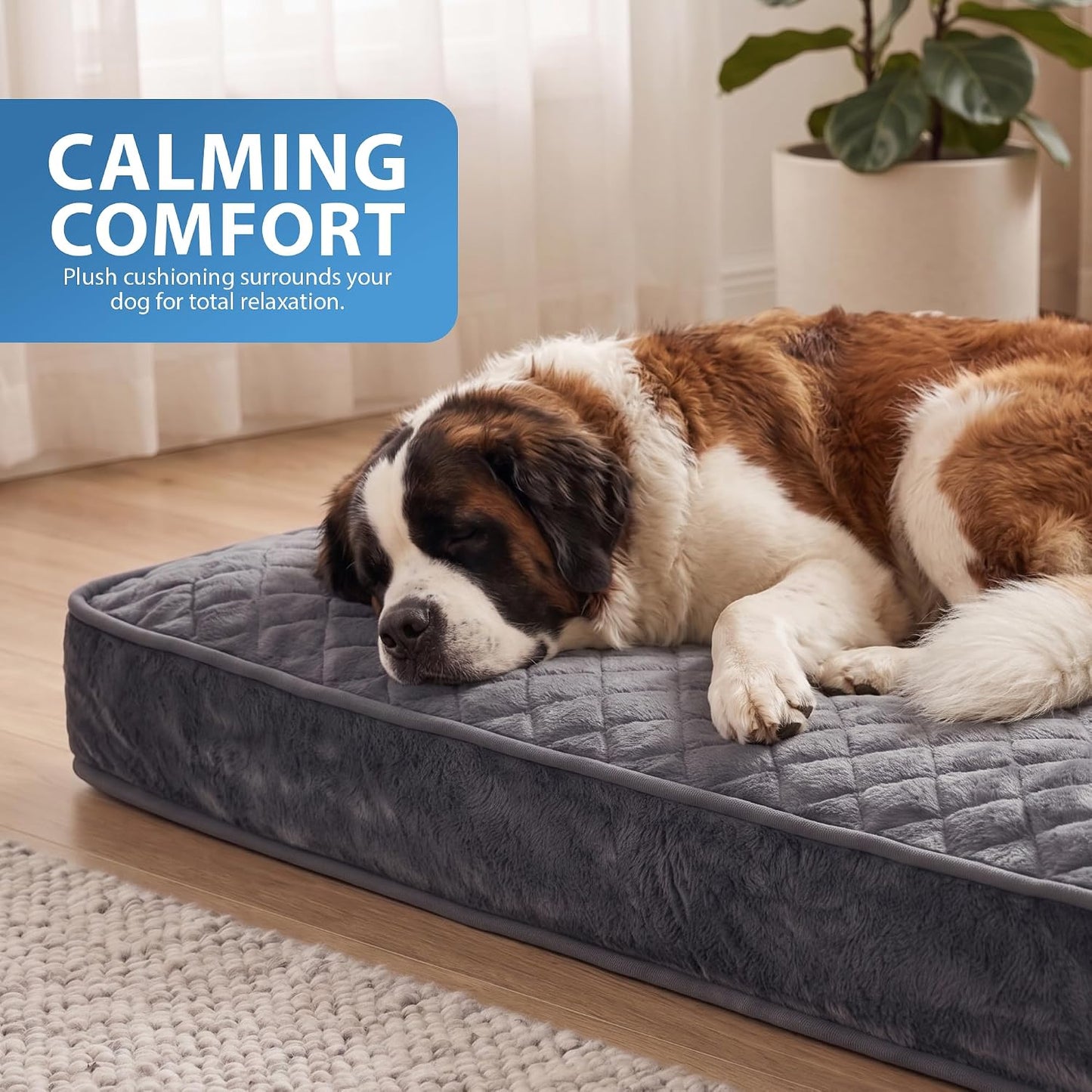 Rex & Roxy 105 x 65cm Dog Bed