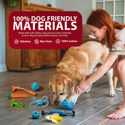 Rex & Roxy 18 Pack Dog Toys