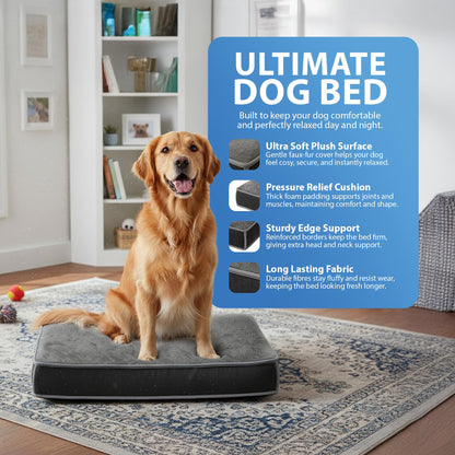 Rex & Roxy 70 x 50cm Dog Bed