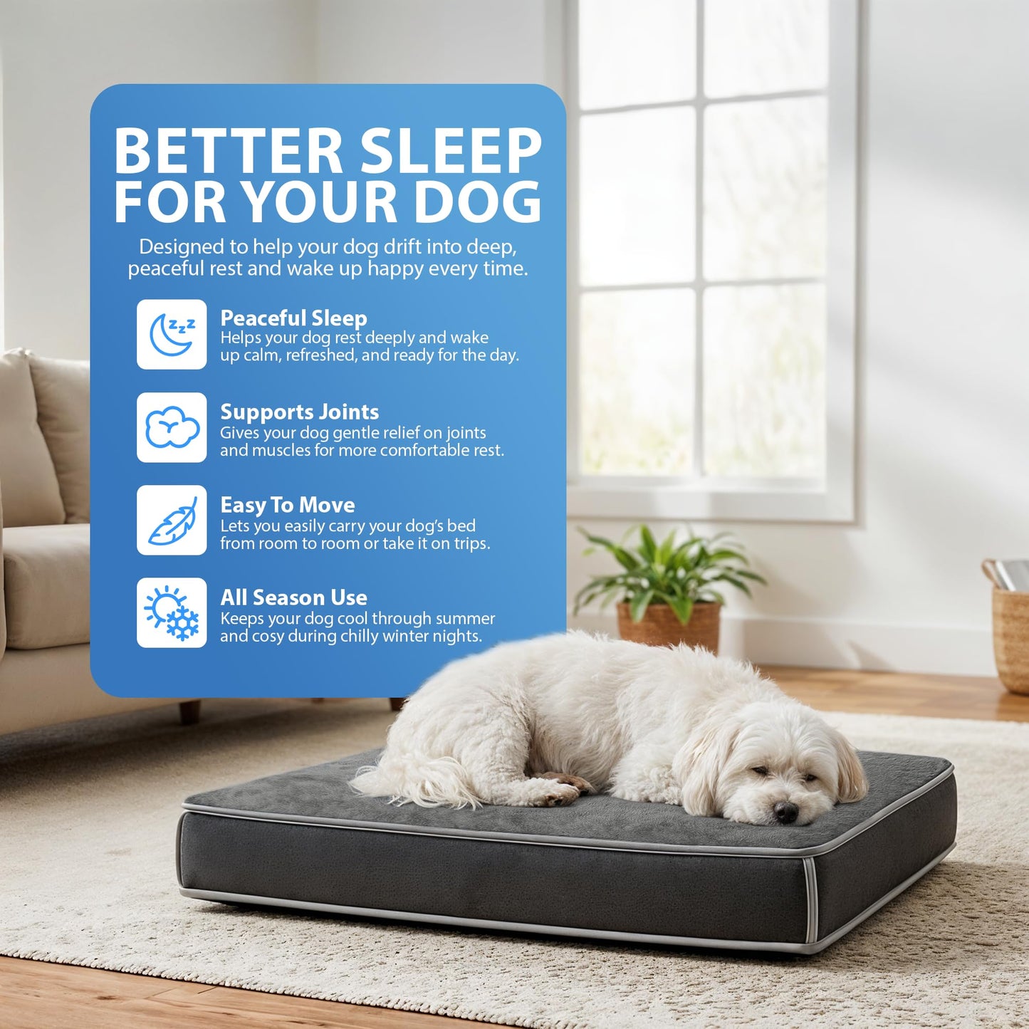 Rex & Roxy 70 x 50cm Dog Bed