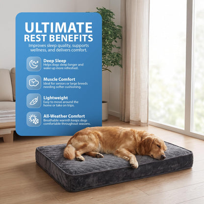 Rex & Roxy 90 x 60cm Dog Bed