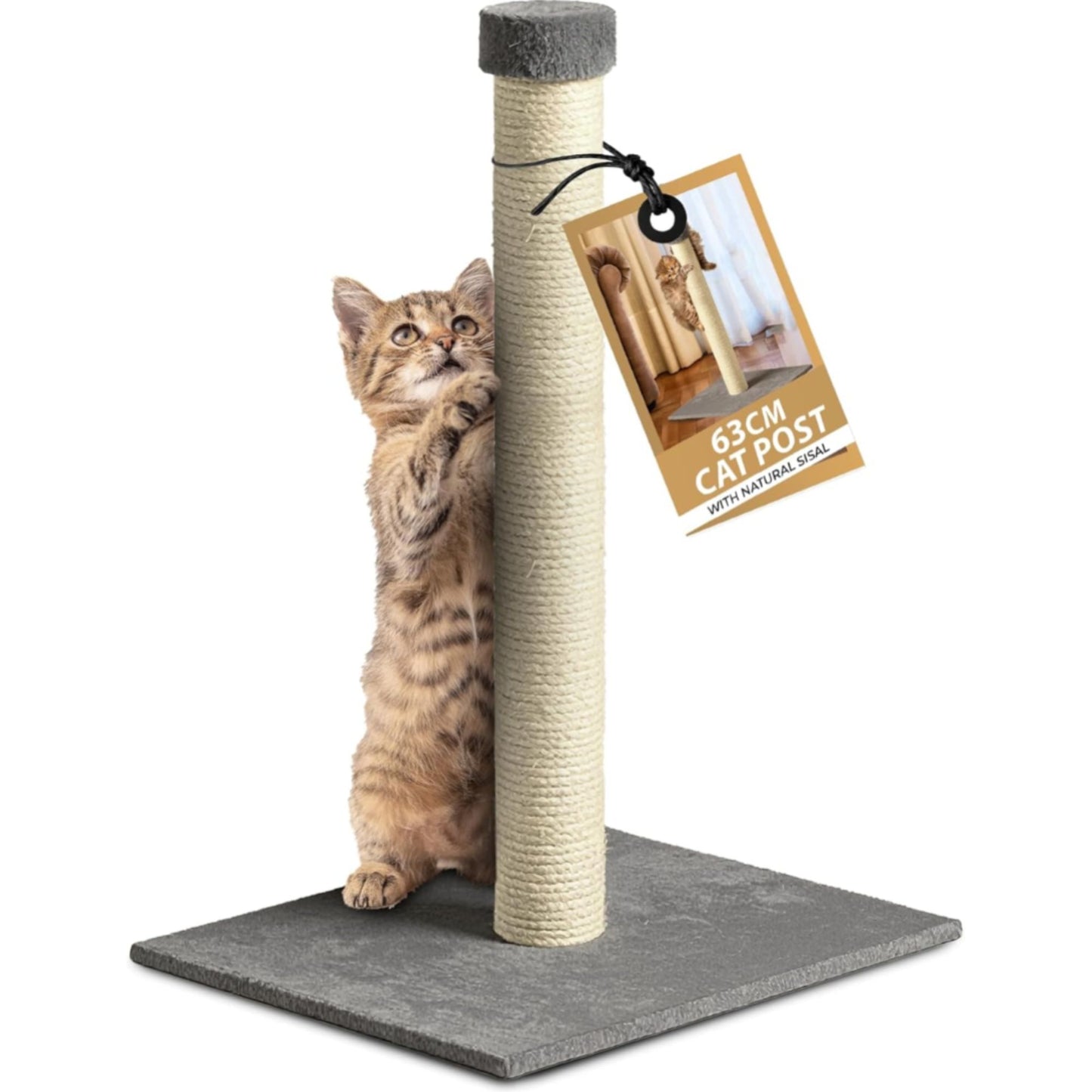 Rex & Roxy 63cm Cat Scratching Post