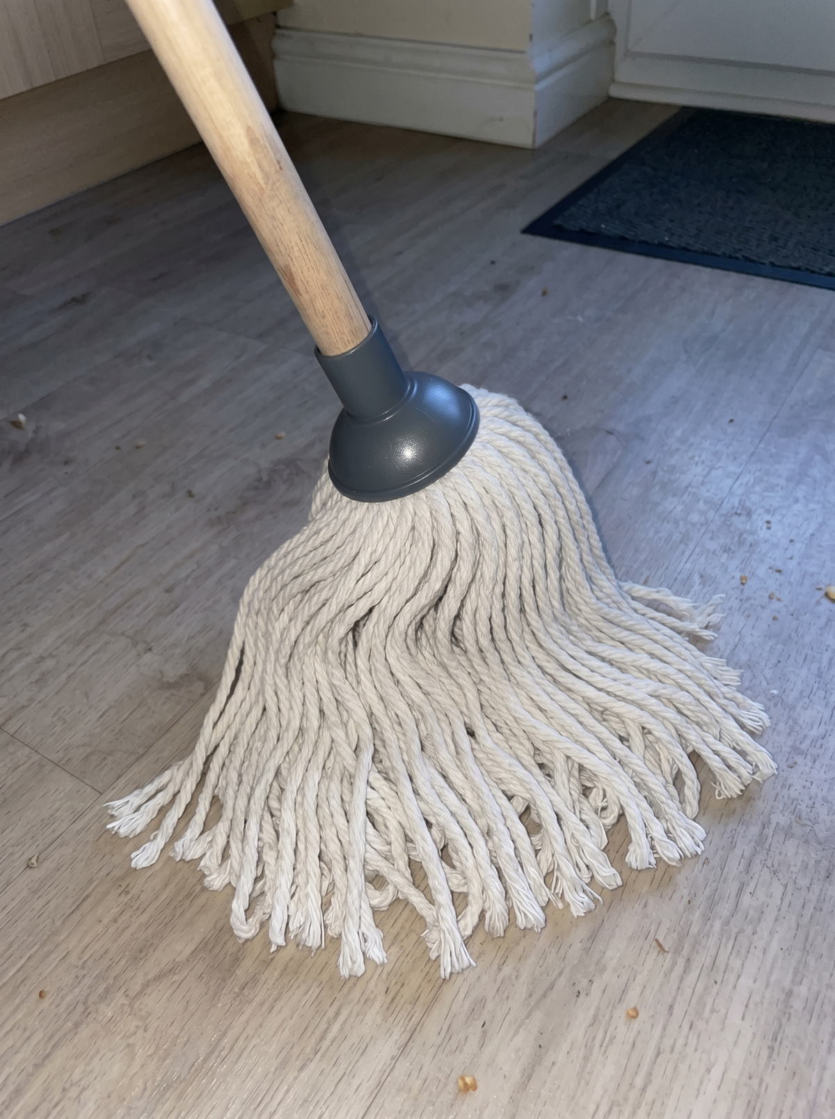 Zeno 2 Pack Mop Head Replacements