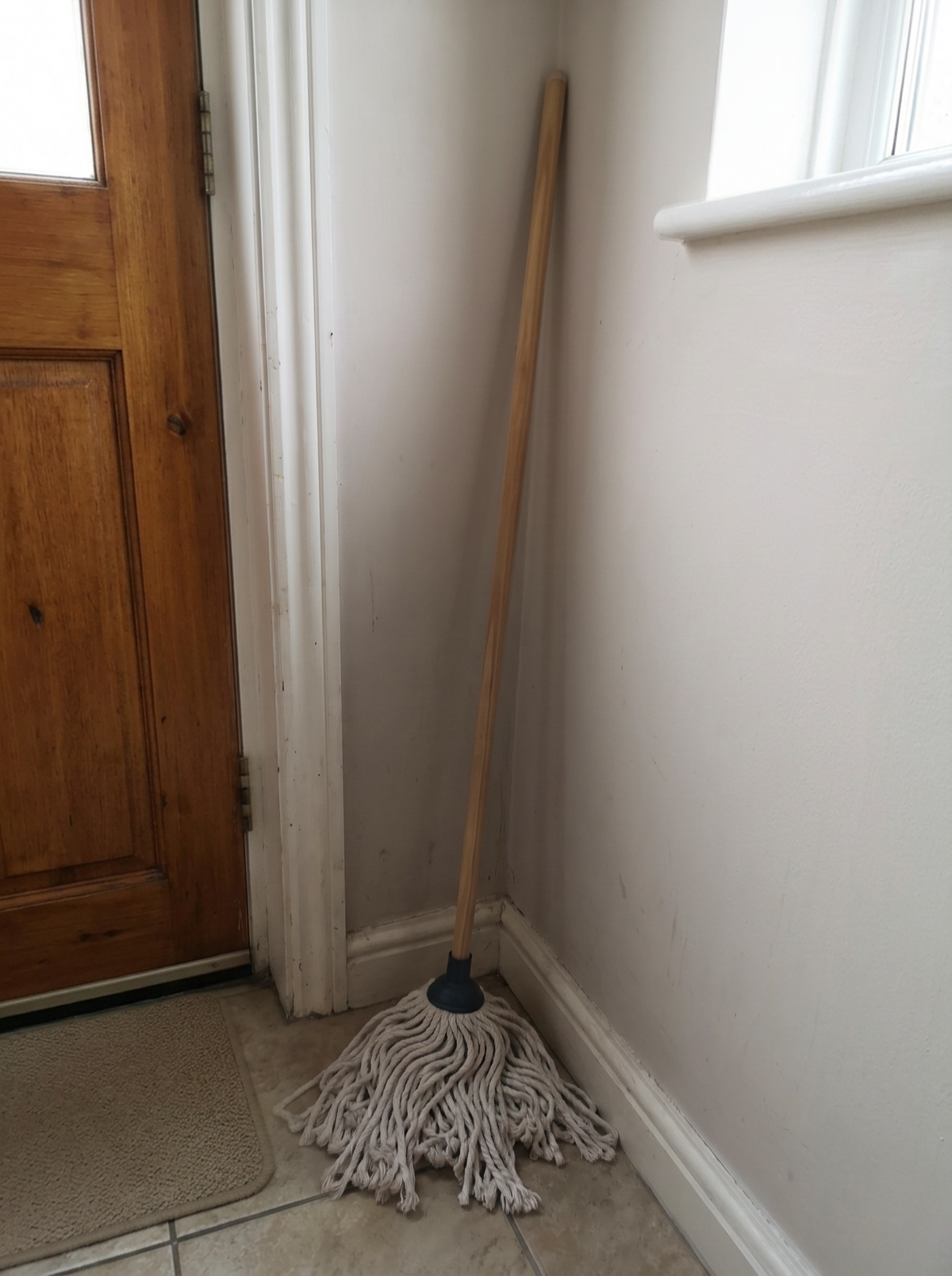 Zeno 2 Pack Mop Head Replacements