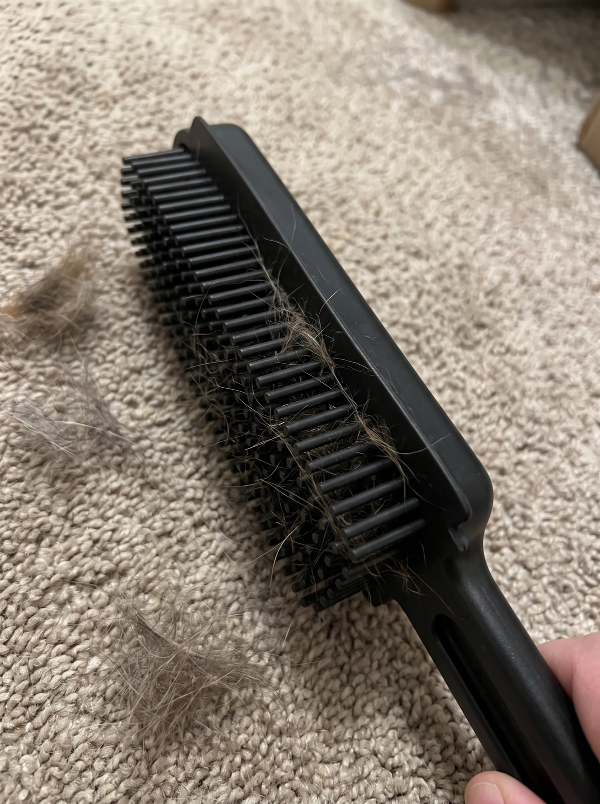 Zeno Carpet Cleaner Brush 2 in 1