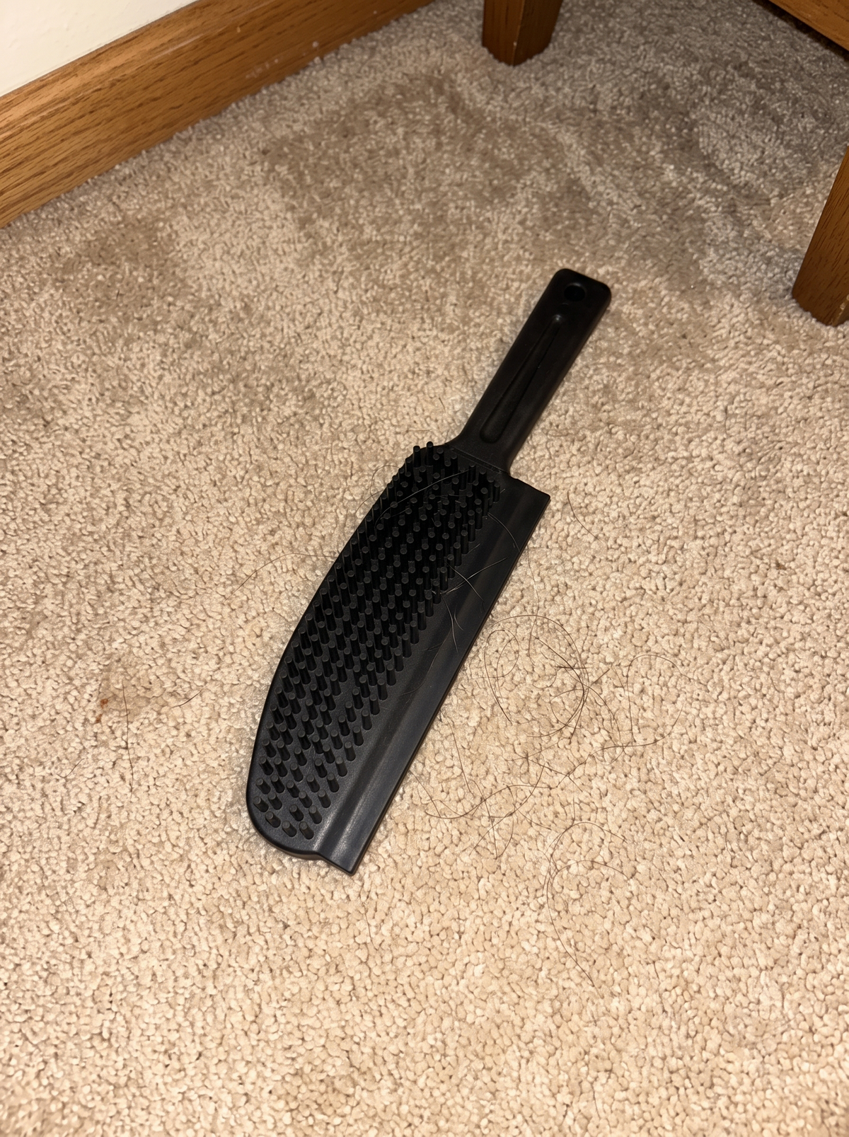 Zeno Carpet Cleaner Brush 2 in 1