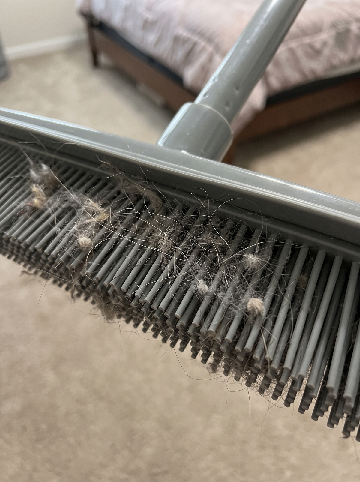 Zeno Rubber Broom Carpet Brush